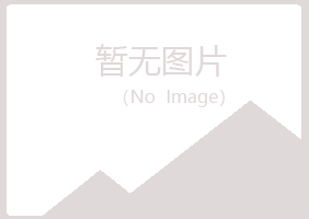 黑龙江女孩媒体有限公司